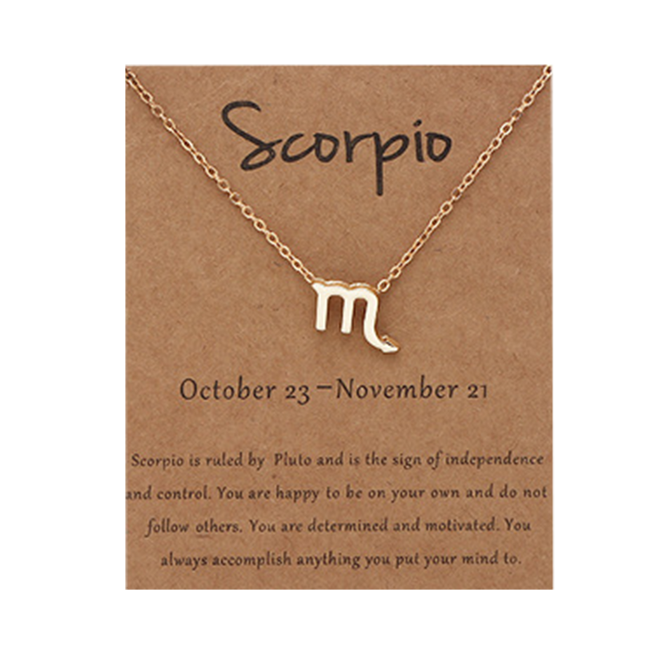 Astrological Sign Pendant Necklace CS Accessory Partners