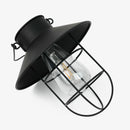 Tungsten Lights with Shepherd's Hook Set of 2 Browze