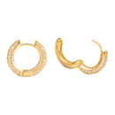 Gold Plated Rhinestone Inlaid Hoop Earrings CS Accessory Partners