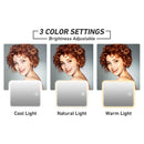 Cosmetic Travel Case With Magnify LED Mirror Browze